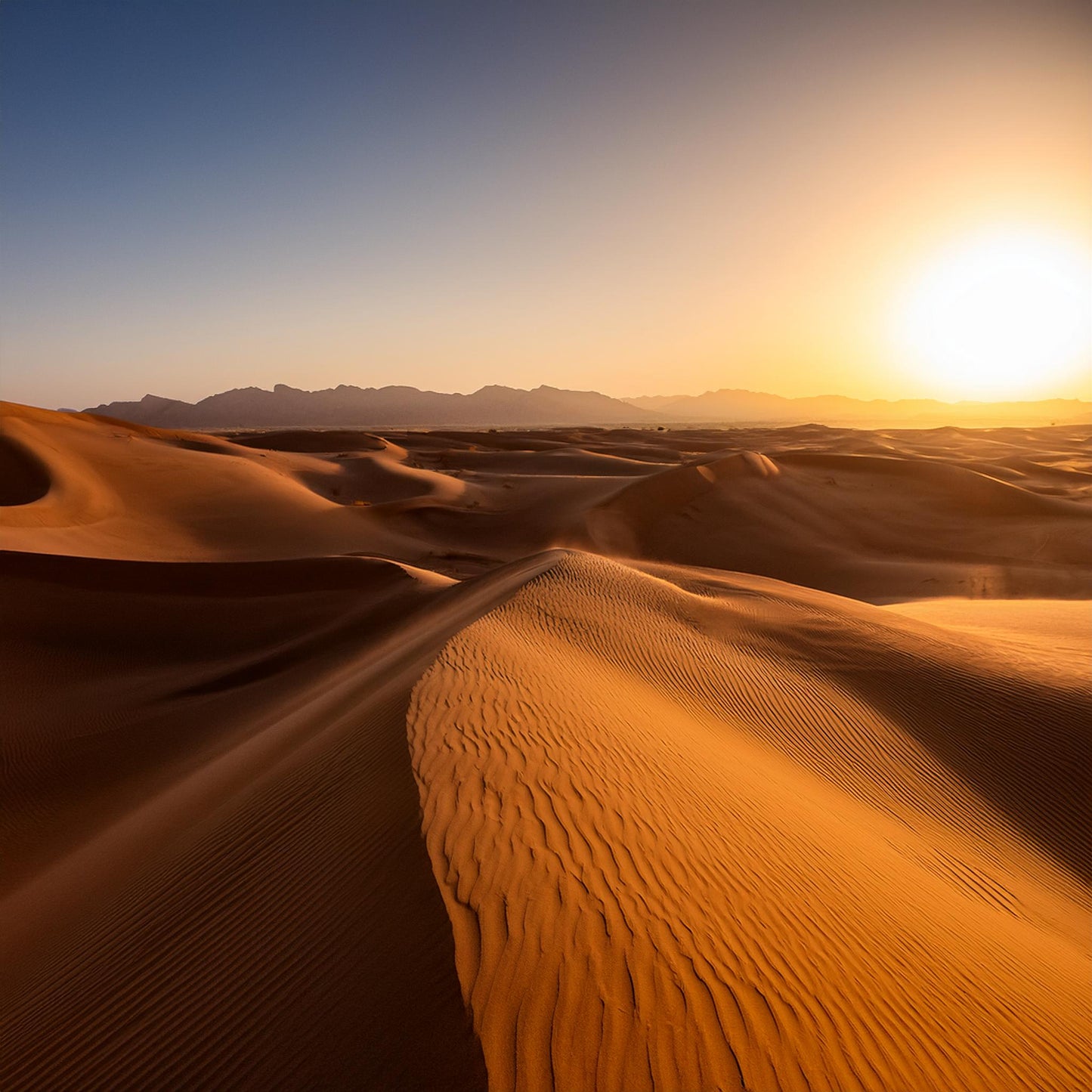 Wahiba Sands Oman